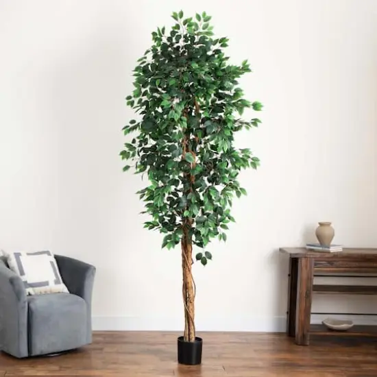 9ft. Potted Ficus Tree {3}