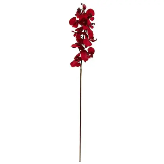 Christmas Red Moth Orchid Pick, 4ct. {1}