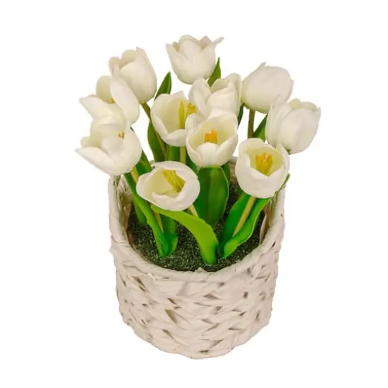 10" Tulip Bouquet in White Basket {6}