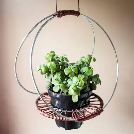 Multicolor Leather Round Cording by Bead Landing&trade;  {4}