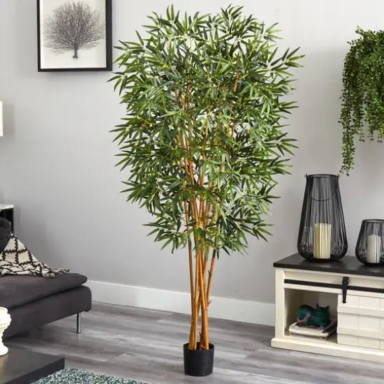 6ft. Potted Curved Bamboo Tree {8}