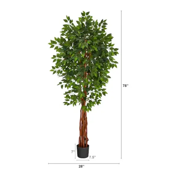 6.5ft. Potted Super Deluxe Ficus Tree {3}