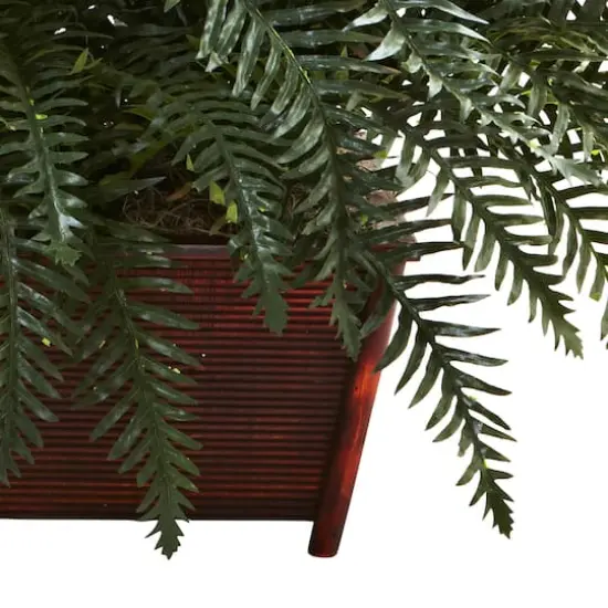 2.5ft. River Fern in Wood Planter {4}