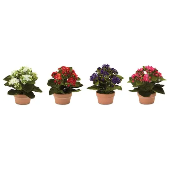 Faux Potted Kalanchoe Plant Set {1}