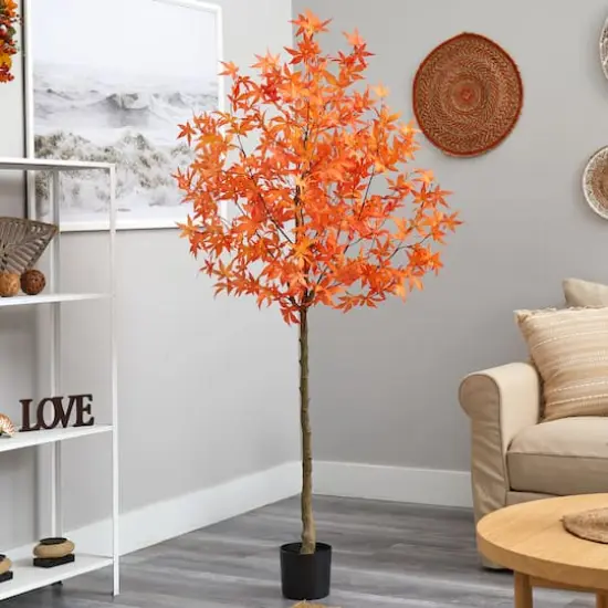 6ft. Potted Orange Autumn Maple Tree {3}