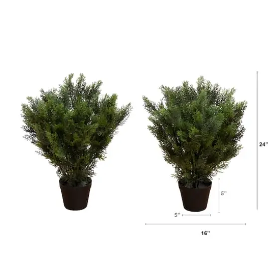 2ft. Potted UV Resistant Cedar Bushes, 2ct. {5}