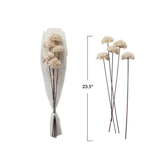 Hello Honey&reg; 23.5" Dried Natural Sesame Flower Stems, 5ct. Cream {5}