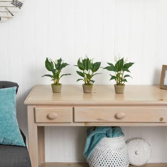 11" Peace Lily with Cement Planter, 3ct. {5}