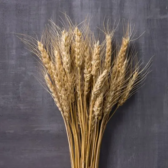 Ashland&reg; Natural Wheat Bunch {3}