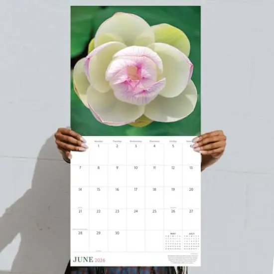 2026 Flowers Wall Calendar {5}
