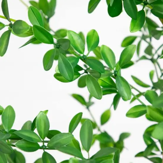 6ft. Artificial Shady Lady Black Olive Tree {5}