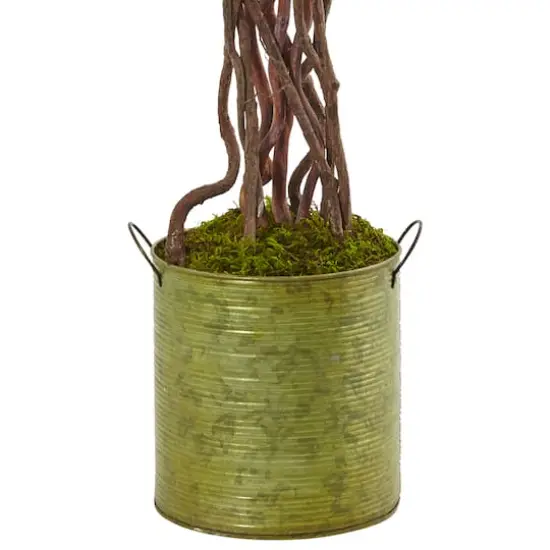 2.5ft. English Ivy Tree in Metal Planter {4}