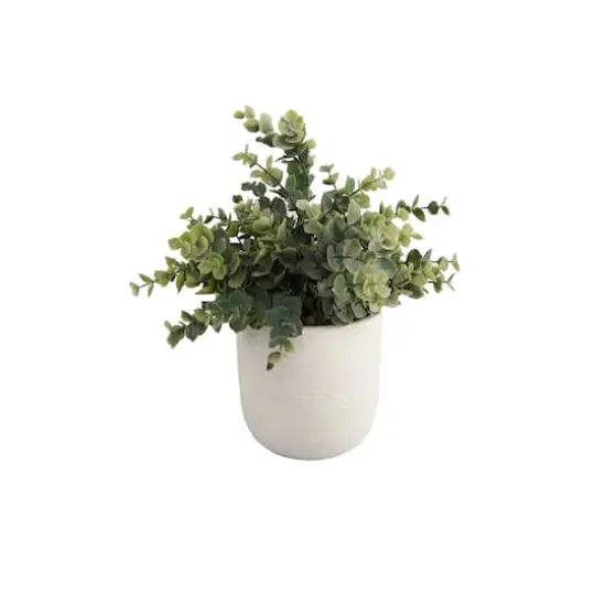 Flora Bunda&reg; 6" Eucalyptus Plant in Ceramic Texture Planter {1}