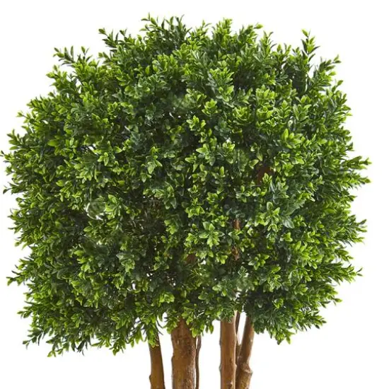 4.5ft. Boxwood Topiary Tree in Planter {3}