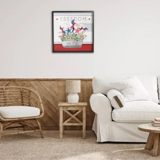 Stupell Industries Freedom Americana Floral Pinwheels Framed Giclee Art Black {3}