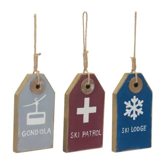 12ct. Ski Tag Ornament {3}