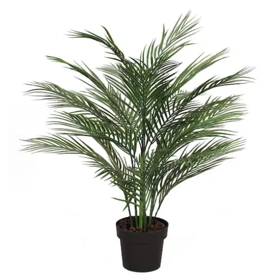 2.6ft. Potted Areca Palm Tree {1}