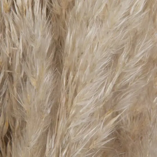 Dried Natural Pampas Grass, 6ct. {6}