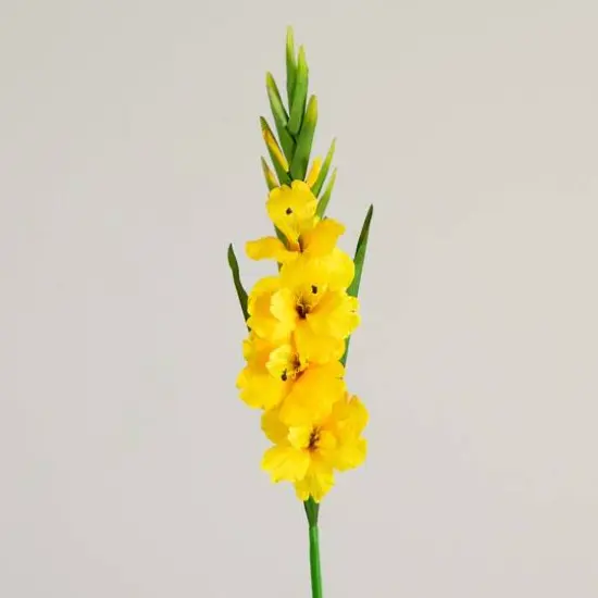 45" Yellow Gladiolus Flower Stems, 3ct. {8}