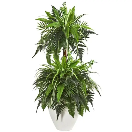 4ft. Mixed Greens & Fern Plant in White Planter {1}