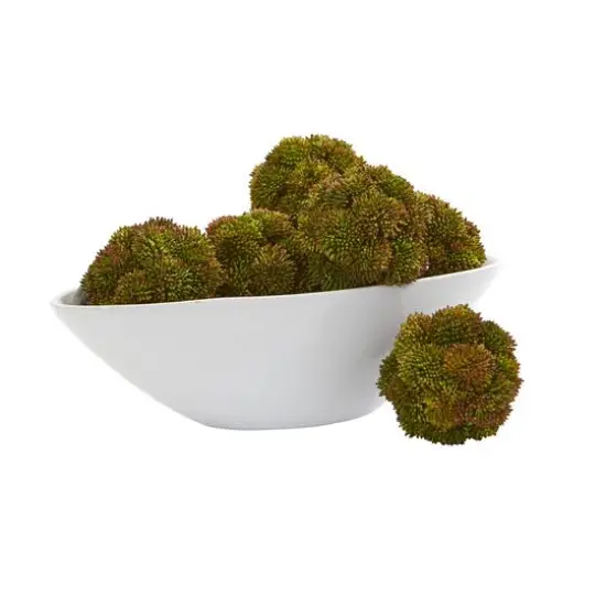 Green Sedum Succulent Spheres, 6ct. {1}