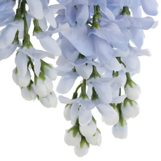 Blue Wisteria Bush by Ashland&reg; {4}