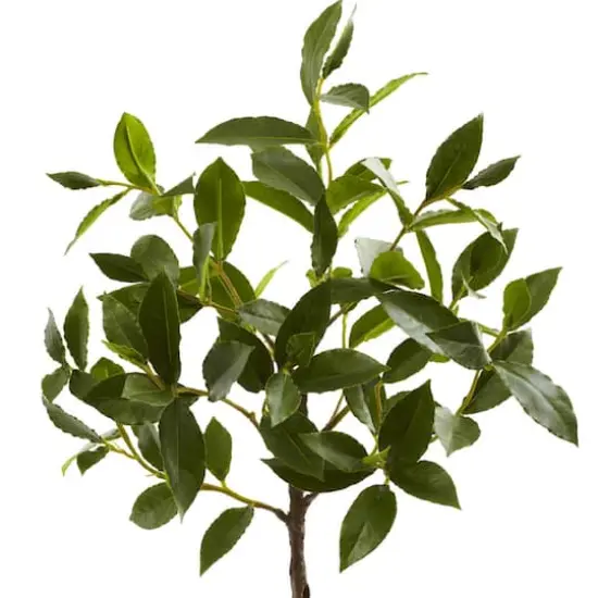 2.5ft. Topiary in Decorative Planter {3}