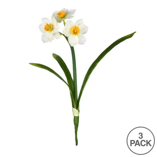 Cream Daffodil Spray, 3ct. {1}
