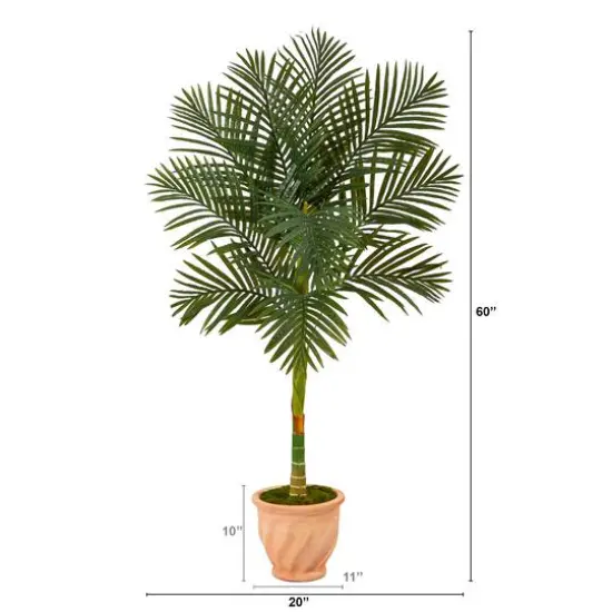 5ft. Golden Cane Palm Tree in Terra-Cotta Planter  {3}