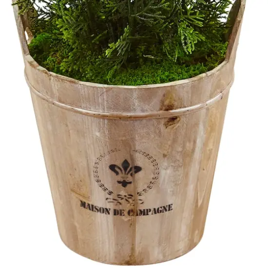 3ft. Cedar Tree in Barrel Planter {4}
