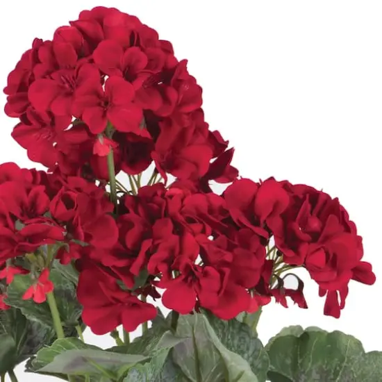 Artificial Red Geranium Bush {8}