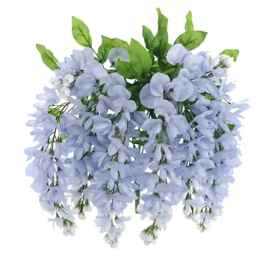 Blue Wisteria Bush by Ashland&reg; {6}