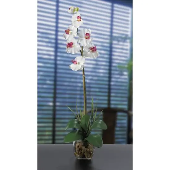 2ft. White Orchid Arrangement In Glass Vase {3}
