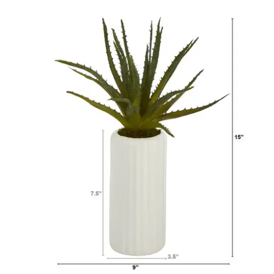 15" Aloe Plant in Decorative White Planter {3}