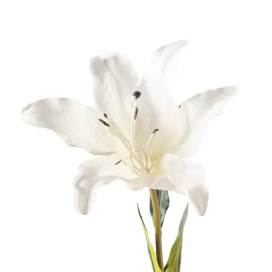 37" White Lily Stem by Ashland&reg; {4}