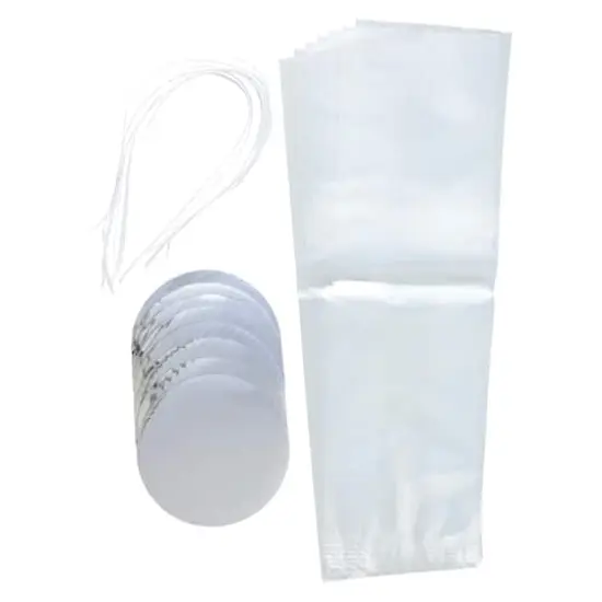 Treat Plate Kit by Celebrate It&reg; {4}