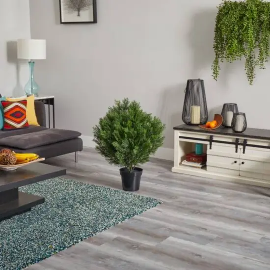 3ft. Potted Cedar Bush {6}