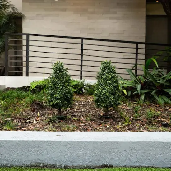 2.5ft. UV Resistant Boxwood Plant Set with Integrated Ground Stake {4}