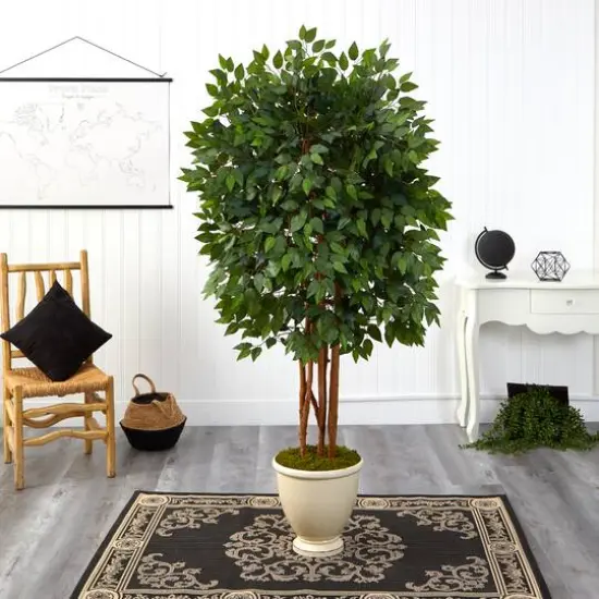 5.5ft. Super Deluxe Ficus Tree in Decorative Urn {4}