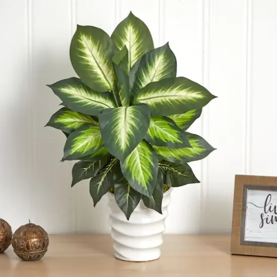 22" Potted Dieffenbachia in White Decorative Planter {6}