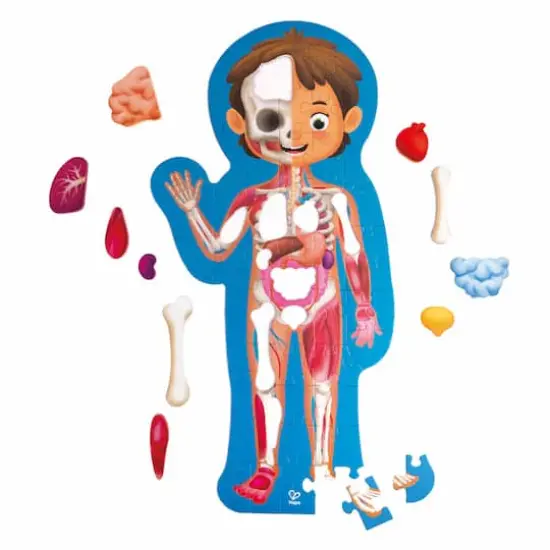 Hape Human Body Oversize Educational Puzzle {1}