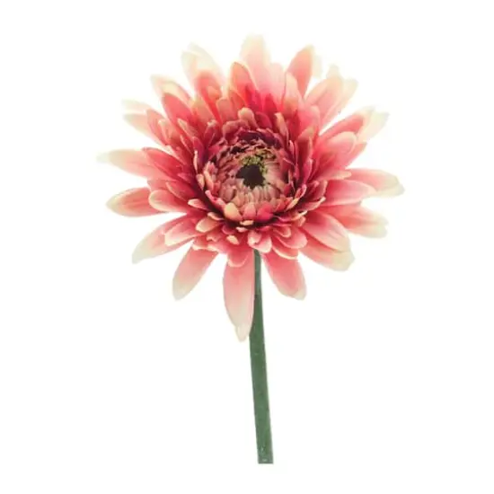 22" Gerbera Daisy Floral Stem, 6ct. {1}