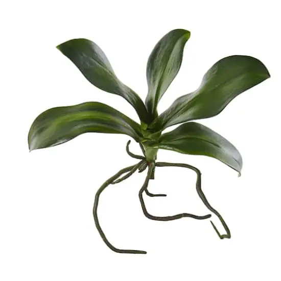 7" Phalaenopsis Orchid Leaf Artificial Flower (Set of 6) {1}