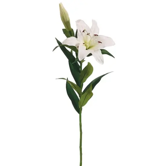 White Stargazer Lily Spray {1}