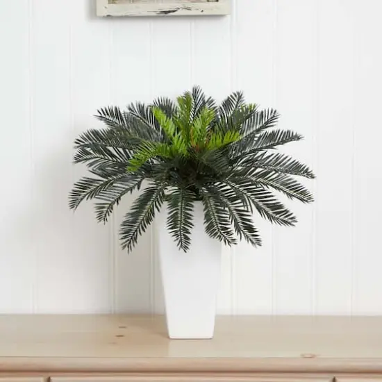 23" Potted Cycas in Decorative White Planter {6}