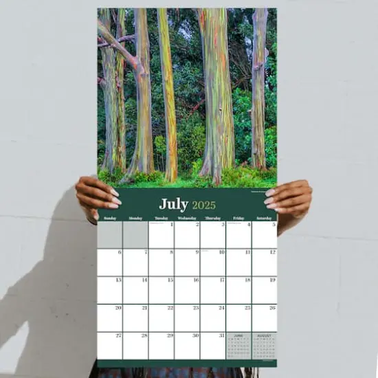 TF Publishing 2025 Trees Wall Calendar {5}