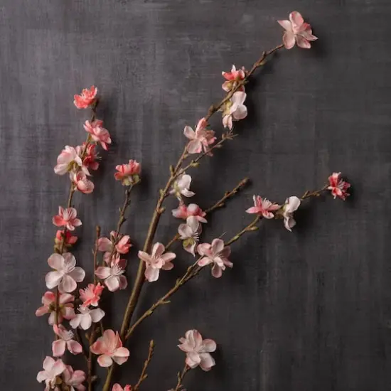 Peach Blossom Stem by Ashland&reg; Coral {3}