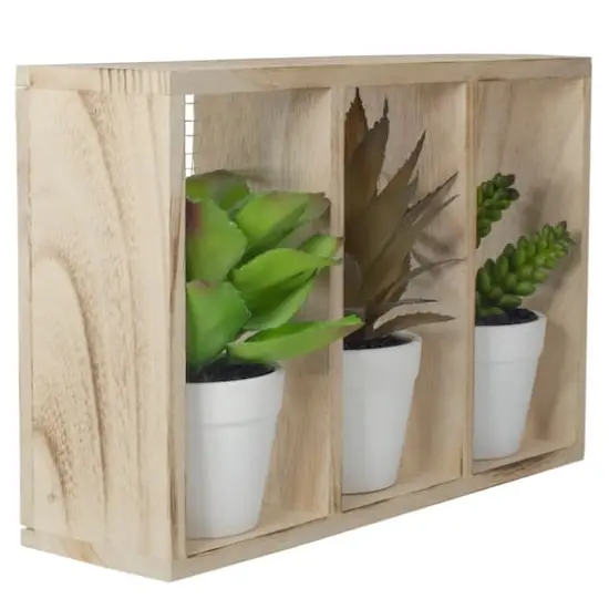 10.75" Mixed Potted Succulents in Wooden Box {4}
