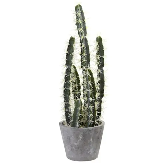2ft. Cactus Garden In Cement Planter {1}