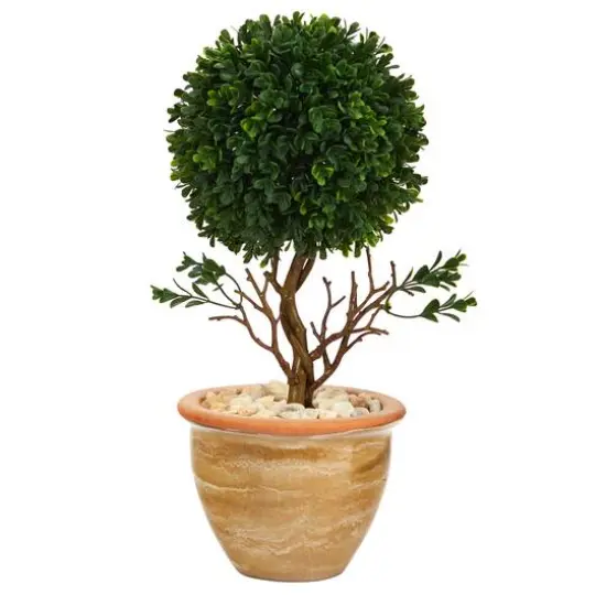 16" Boxwood Topiary Tree in Ceramic Planter {1}